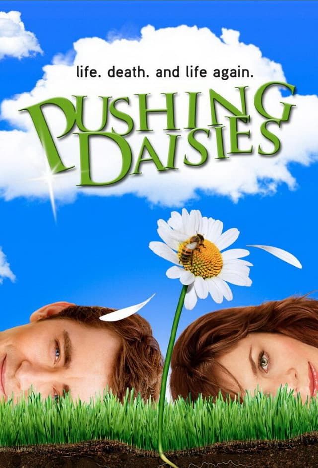 Pushing Daisies poster