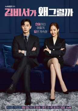 What's Wrong with Secretary Kim poster