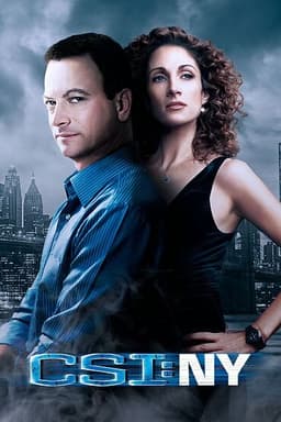 CSI: NY poster
