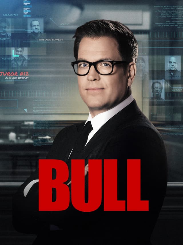 Bull poster
