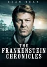 The Frankenstein Chronicles poster