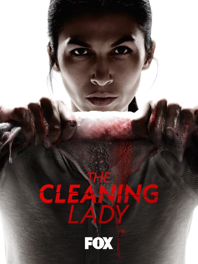 The Cleaning Lady poster