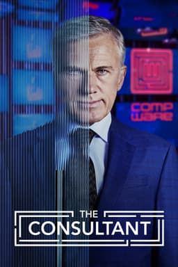 The Consultant poster