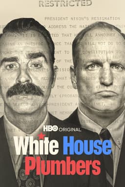 White House Plumbers poster