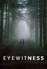 Eyewitness poster