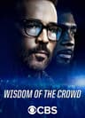 Wisdom of the Crowd poster