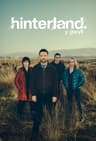 Y Gwyll poster