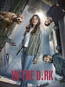 In the Dark poster