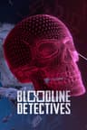 Bloodline Detectives poster