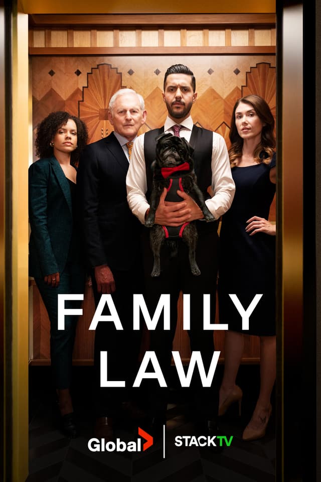 Family Law poster