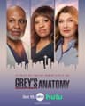 Grey's Anatomy poster