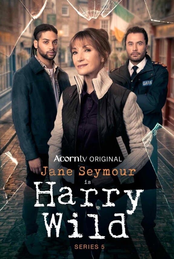 Harry Wild poster