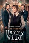 Harry Wild poster