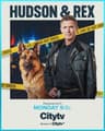 Hudson & Rex poster
