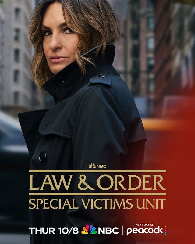 Law & Order: Special Victims Unit poster