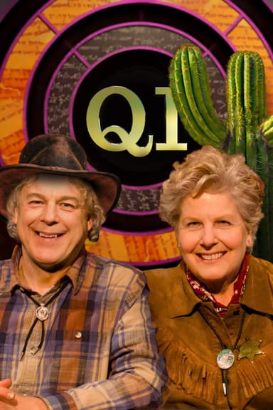 QI poster