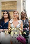 Sweet Magnolias poster