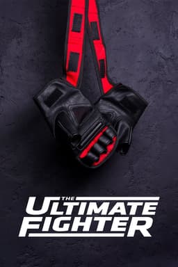 The Ultimate Fighter poster