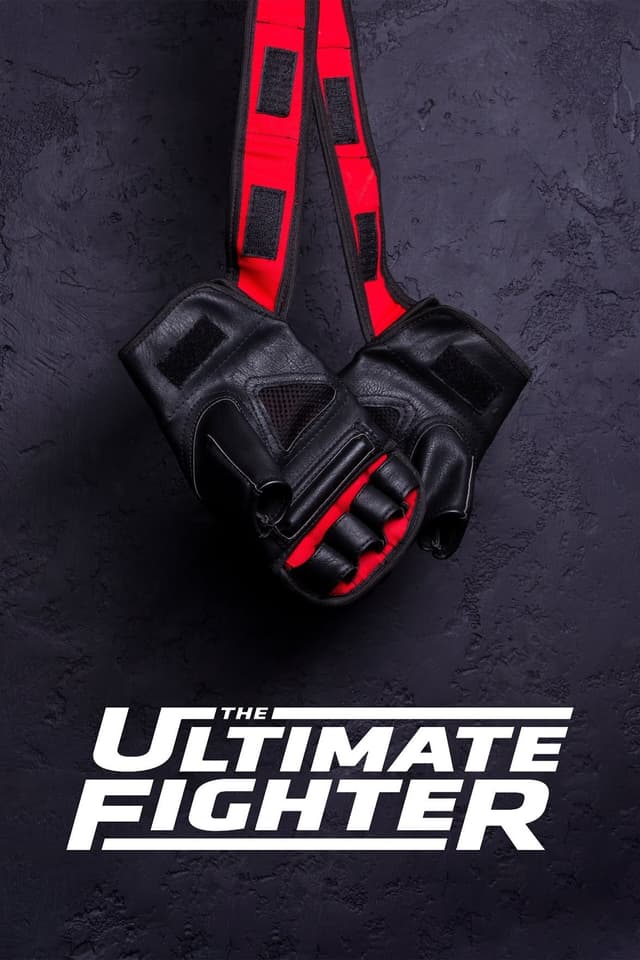 The Ultimate Fighter poster