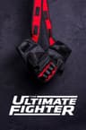 The Ultimate Fighter poster