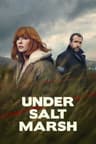 Under Salt Marsh poster
