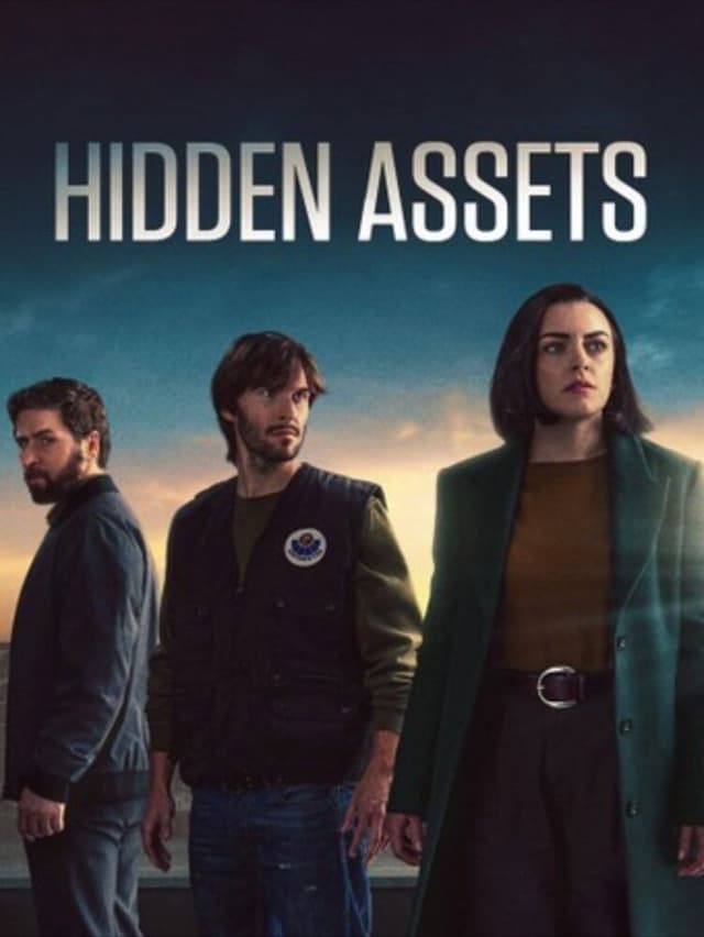 Hidden Assets poster