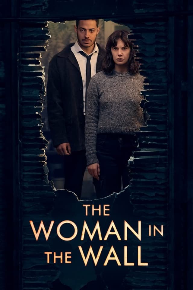The Woman in the Wall poster