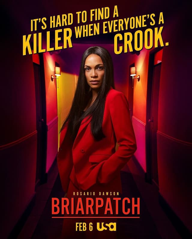 Briarpatch poster