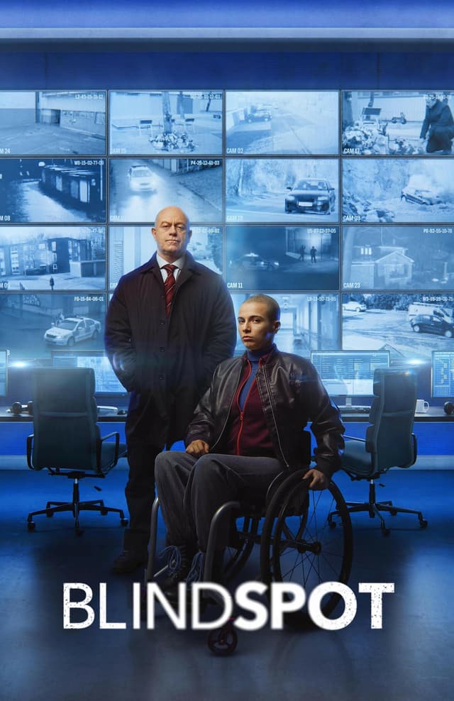 Blindspot poster